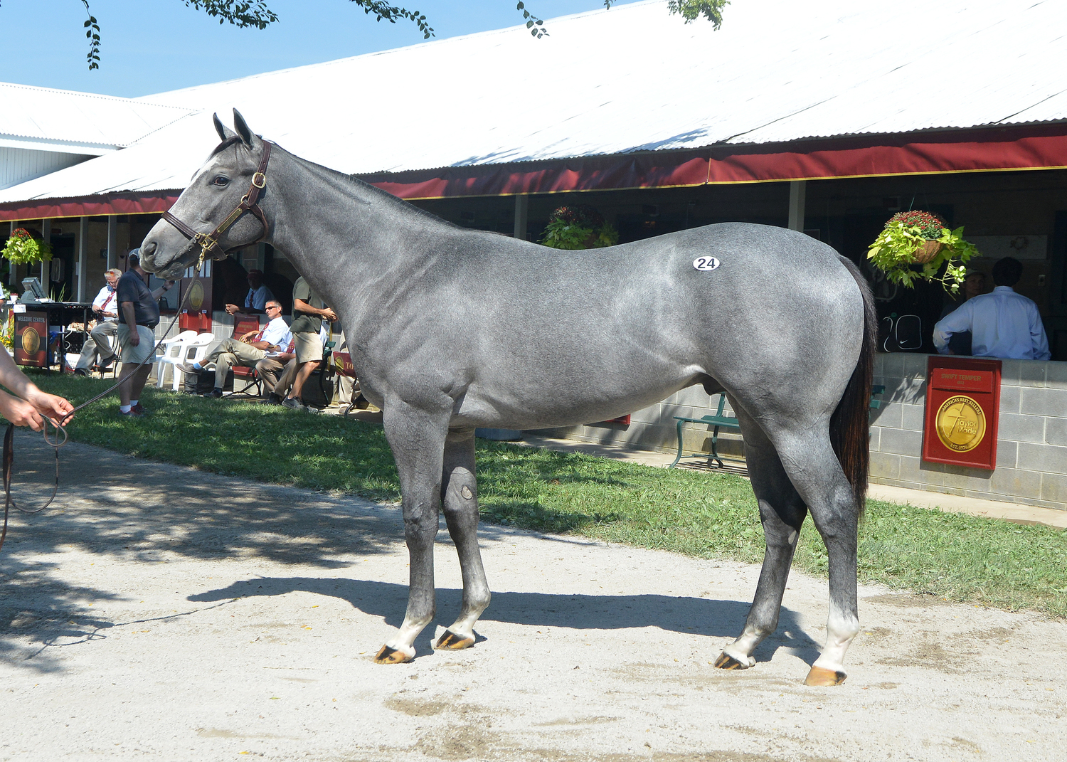 Kentuckian