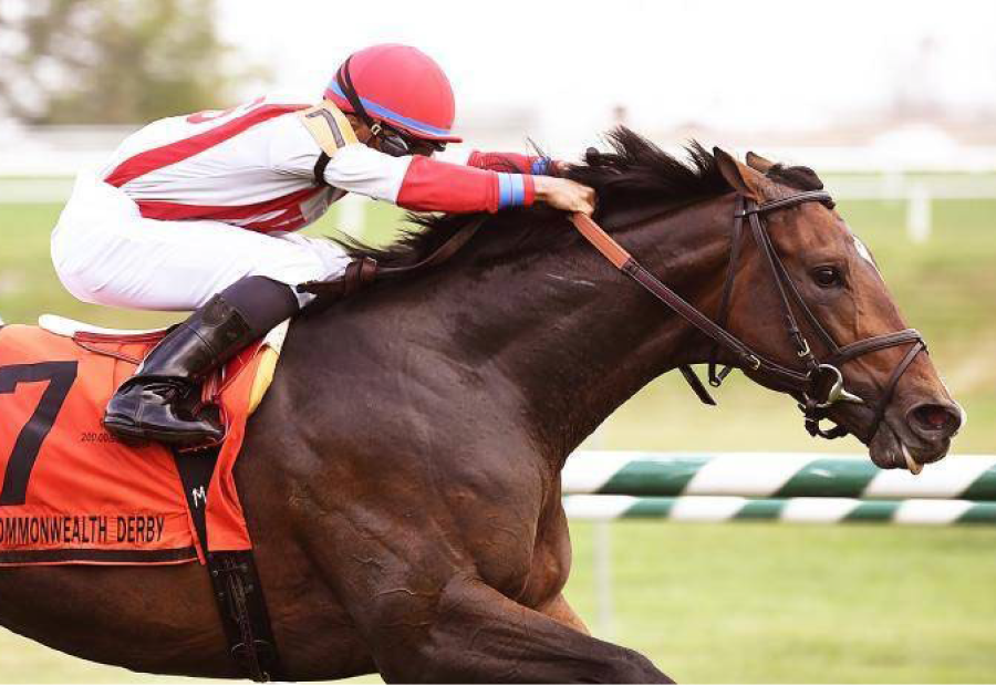 Yearlings Thumbnail Image