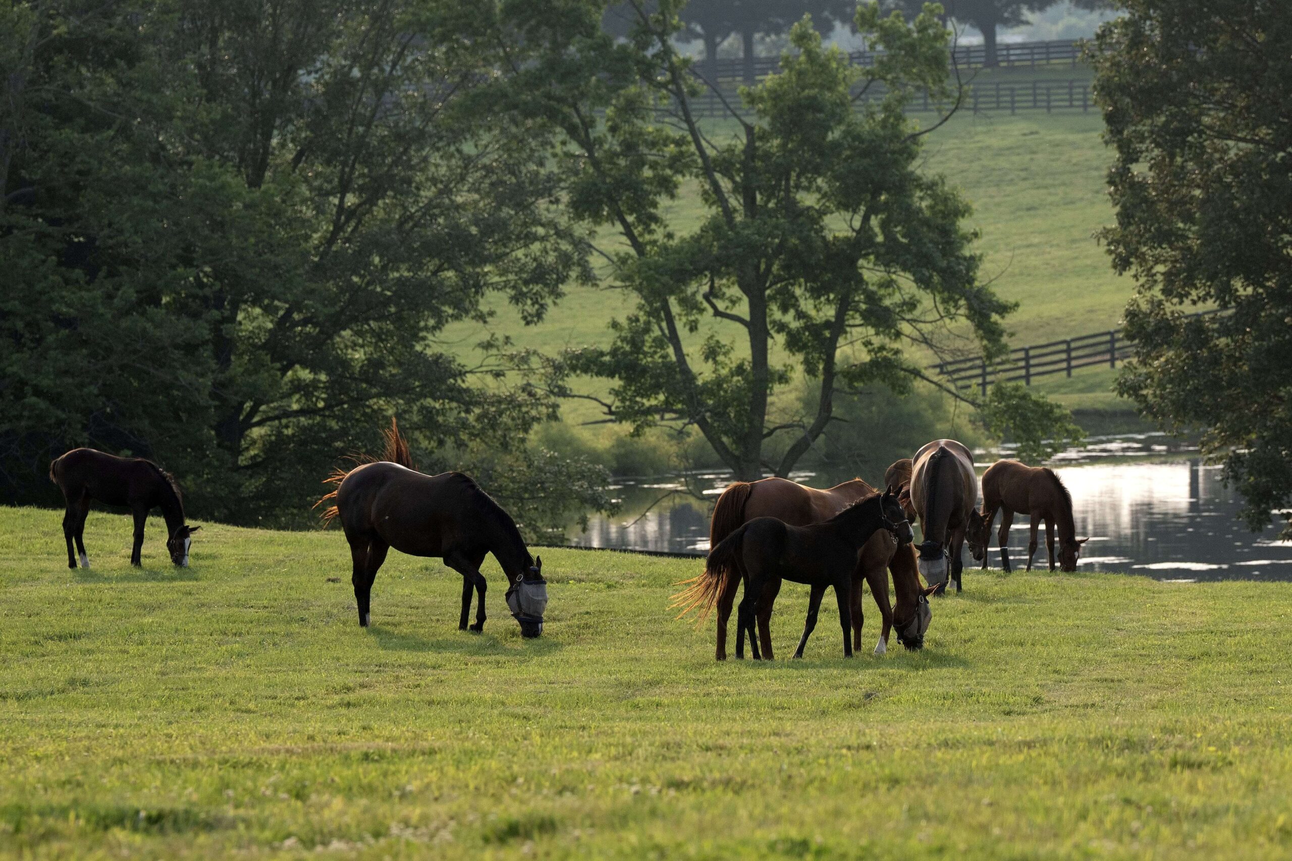 Hero Background Image