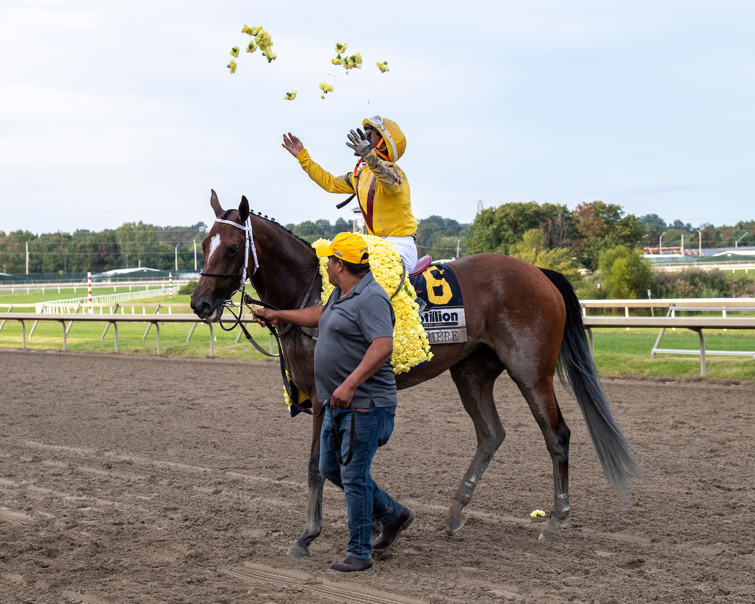 Racing Stables Image